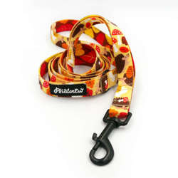 City leash for Dog Hedgehog Dreamer, width 2 cm, black carabiner 7 cm