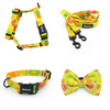 ACCESSORY KIT. Small dog. Lemonade Psiakrew Series; Collar, Harness, Leash, Bow tie