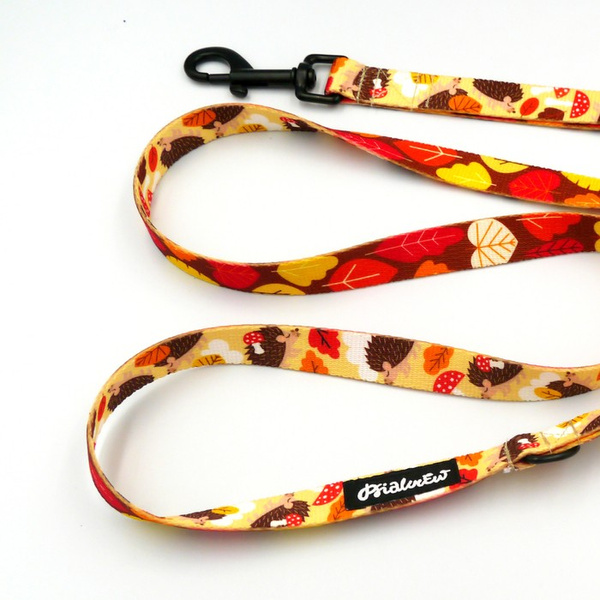 City-Leine für Dog Hedgehog Dreamer Breite 2 cm, schwarzer Karabiner 7 cm