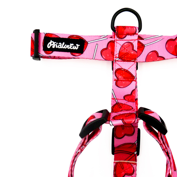 Guard Harness for Dog Lollipops Psiakrew, black extras