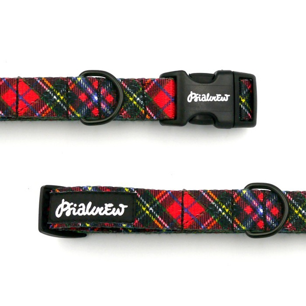 Verstellbares Hundehalsband Tartan Psiakrew, Breite 2 cm, kleiner Hund, schwarze Beschläge