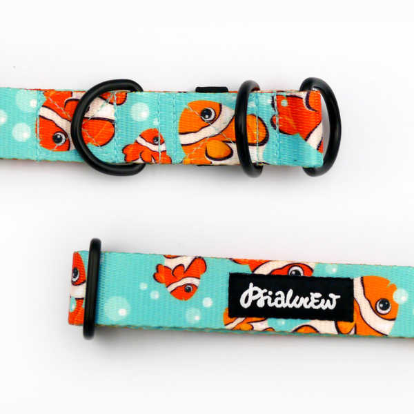 Half-choke collar Blue Lagoon Psiakrew, 2.5 cm wide, medium and big dogs, black extras