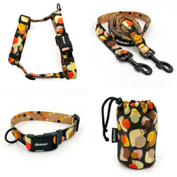 ZUBEHÖRSATZ. Großer Hund. Snail Family Psiakrew - Serie; Halsband, Geschirr, Leine, Sachet für Hundeleckerli