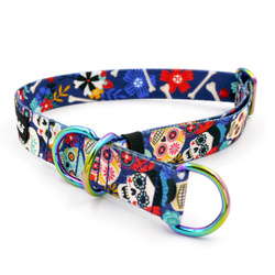 Halbes Würgehalsband Día de los Muertos 2,5 cm breit, für mittelgroße und größere Hunde, Holo-Beschläge