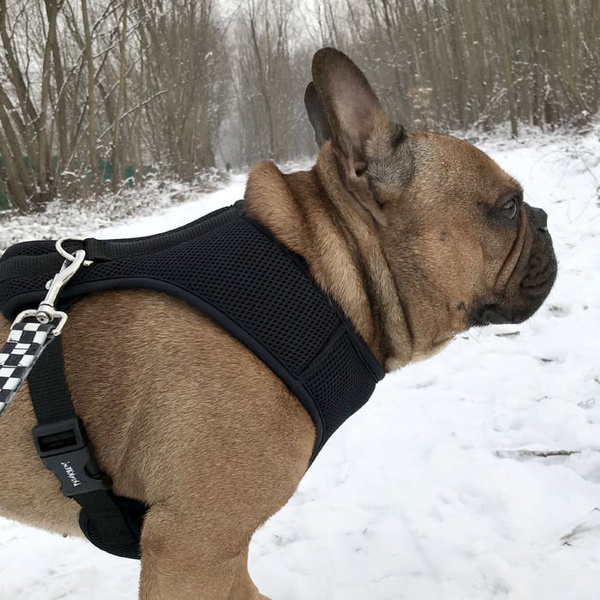 Dog Harness, Always Feeling Cool, Super Soft Psiakrew Black Mamba