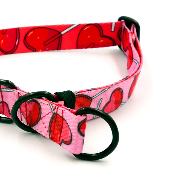 Half-choke collar Lollipops Psiakrew, 2.5 cm wide, medium and big dogs, black extras