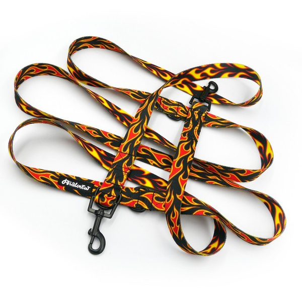 Hundeleine Dog On Fire Psiakrew, Breite 2,5 cm, Karabiner 6 cm schwarz