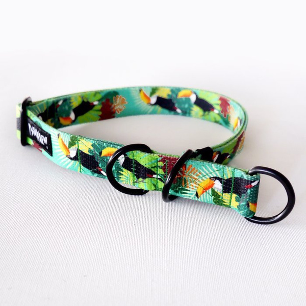 Half-choke collar Toucan, 2.5 cm wide, medium and big dogs, black extras