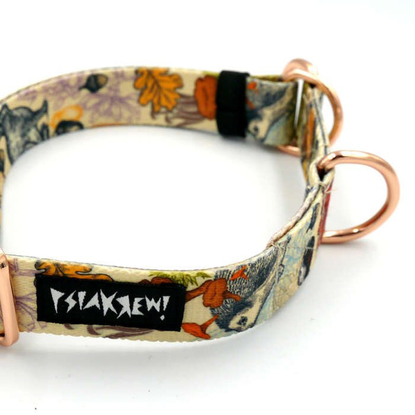Half-choke collar Forest Treasures, 2.5 cm wide, medium and big dogs, rose gold