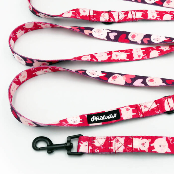 Long Dog Leash Piggy in Love Psiakrew width 2 cm (0.78"), black snap hook 6 cm
