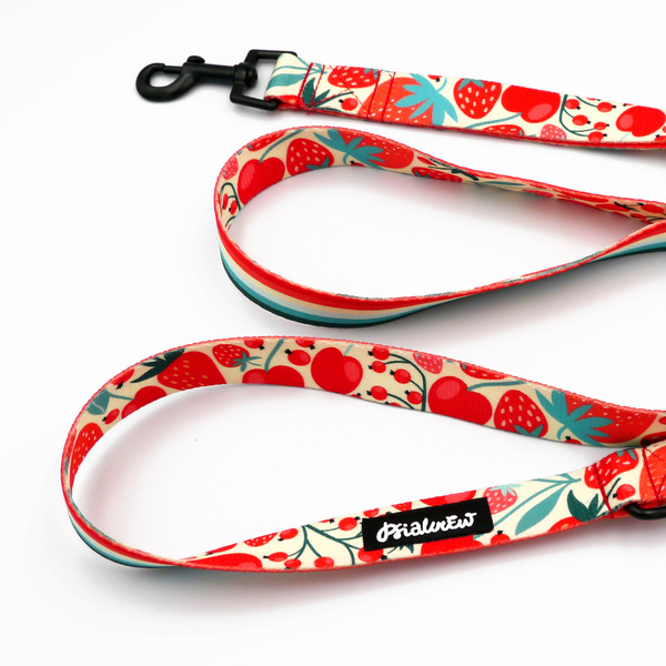 Dog Leash Fruit Jelly Psiakrew width 2.5 cm, 1" wide, black snap hook 6 cm