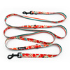Long Dog Leash Fruit Jelly Psiakrew width 2 cm (0.78"),  black snap hook 7 cm (3,15")