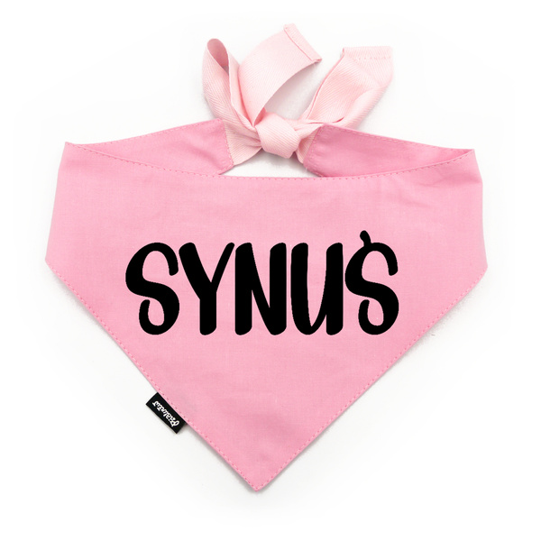 Dog Bandana – MAMA’S BOY – Psiakrew, personalized tied handkerchief, pink bandana scarf