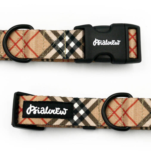 Dog Collar Dogberry Psiakrew 2.5 cm 1" wide, black fittings