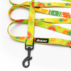 Long Dog Leash Lemonade Psiakrew width 2 cm (0.78"),  black snap hook 7 cm (3,15")