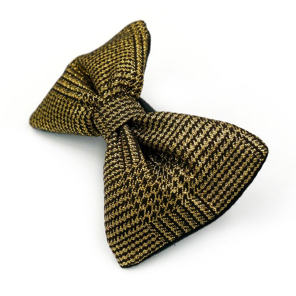 Shimmering gold and black bow tie for a dog; carnival New Year's Eve decorative bow Psiakrew