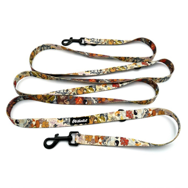 Hundeleine, lang, abnehmbar, verstellbar Forest Treasures Psiakrew, Breite 2 cm, Karabiner schwarz 7 cm