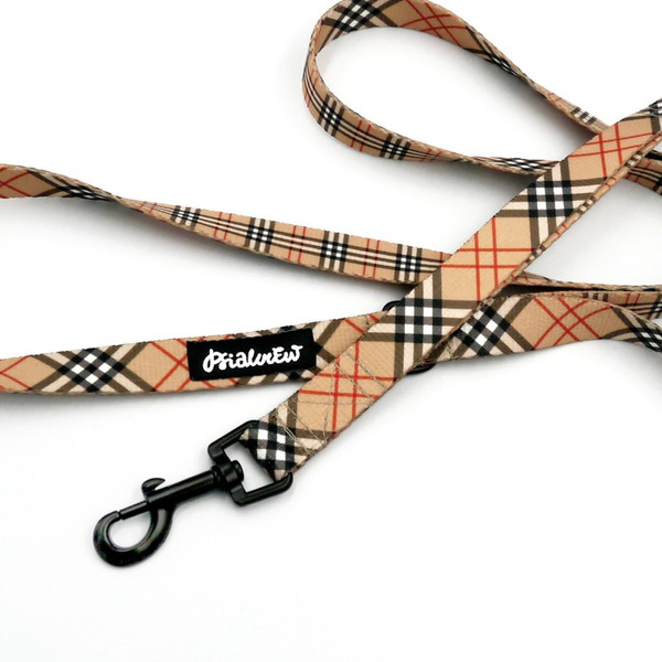 Walking leash for Dog Dogberry Psiakrew, width 2 cm, black snap hook 6 cm