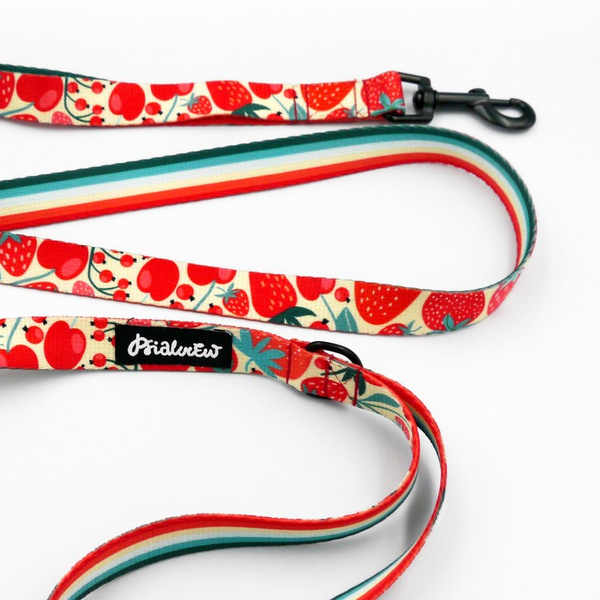 Walking leash for Dog Fruit Jelly Psiakrew, width 2 cm, black snap hook 6 cm