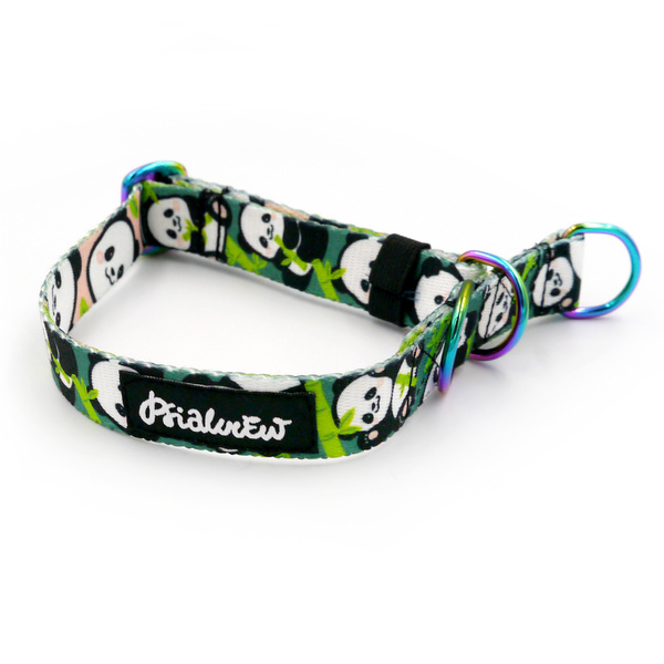 Half-choke collar Bamboo Panda Psiakrew, 2 cm wide, for small dogs, Holo extras