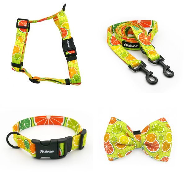 ACCESSORY KIT. Medium dog. Psiakrew Lemonade Series; Collar, Harness, Leash, Bow tie