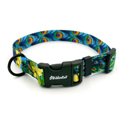 Dog Collar Peacock's Eye Psiakrew 2.5 cm 1" wide, black fittings