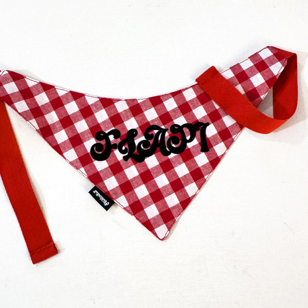 Personalized Bandana with the name of the Dog Psiakrew in red and white checkered Vichy
