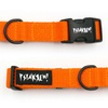 Orange Collar for dog Psiakrew, 2 cm 0.78"  wide, for smaller dogs