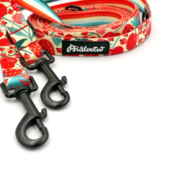 Long Dog Leash Fruit Jelly Psiakrew width 2 cm (0.78"), black snap hook 7 cm (3,15")