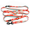 Dog Leash Fruit Jelly width 2.5 cm, 1"  wide, black snap hook 8cm