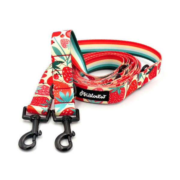 Dog Leash Fruit Jelly Psiakrew width 2.5 cm, 1"  wide, snap hook black 6cm