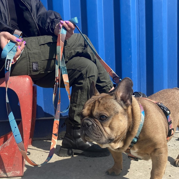 Dog Leash Geo Snake width 2.5 cm, 1" wide, snap hook black 8cm