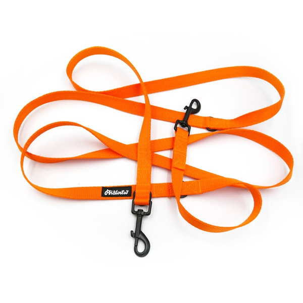Long Orange Dog Leash width 2 cm (0.78") wide; black snap hook 7 cm