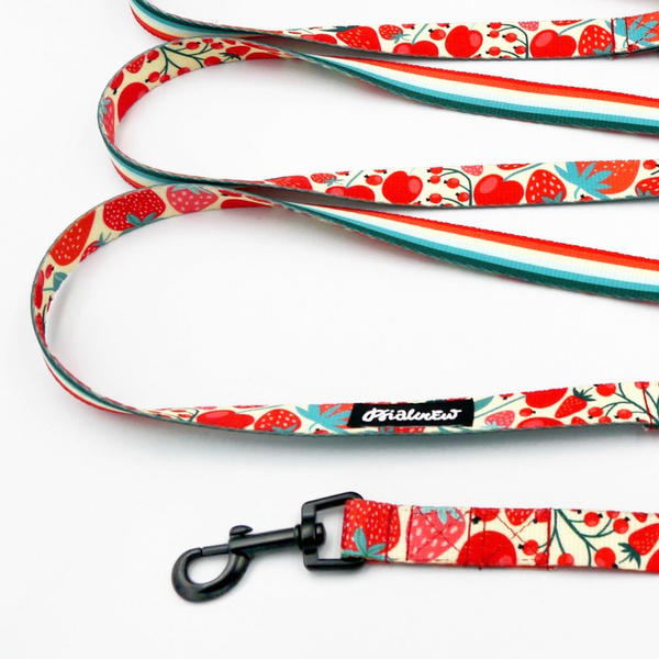 Long Dog Leash Fruit Jelly Psiakrew width 2 cm (0.78"), black snap hook 6 cm
