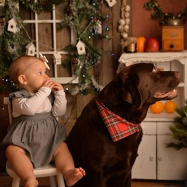 Dog Bandana Tartan handkerchief style to tie around your pet’s neck