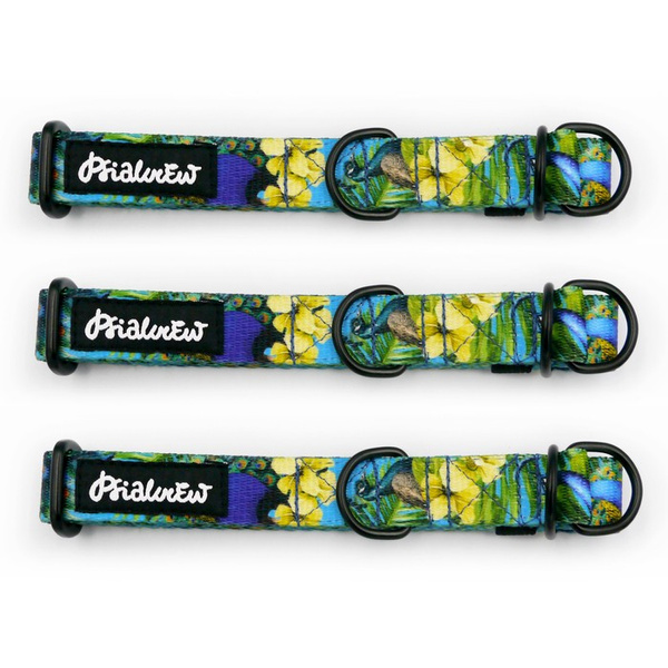 Obroża półzaciskowa Pawie Oczko szeroka na 2 cm, dla małych psów, czarne dodatki