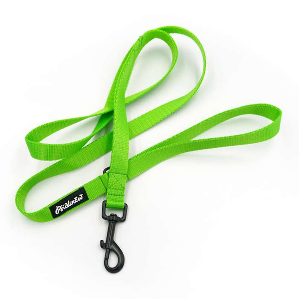 Lime Dog Leash width 2 cm 0.78 ", black extras