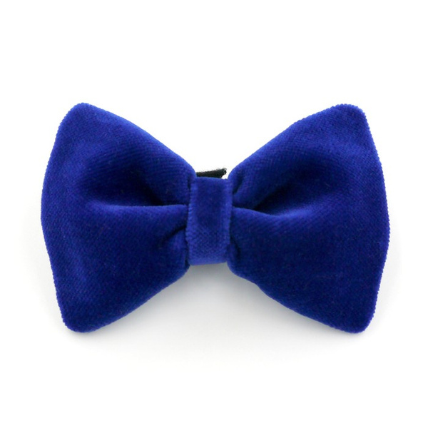 Velvet dark blue bow tie for a dog an elegant ornament for special occasions, attached to the collar