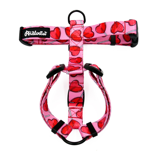 Harness for Dog, Lollipops Psiakrew Guard Harness Small Harness for small dogs, puppies, black extras