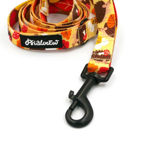 City leash for Dog Hedgehog Dreamer, width 2 cm, black carabiner 7 cm