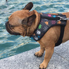 Dog Harness Invaders Psiakrew, Always Feeling Cool, Super Soft