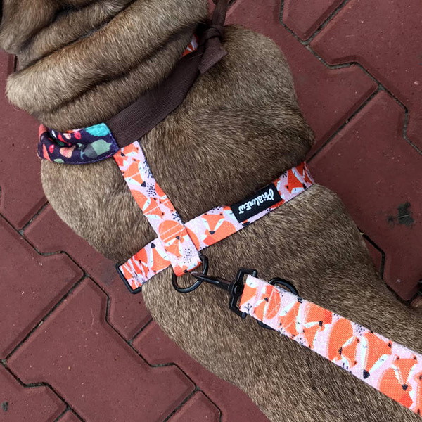 Guard Harness for Dog Foxy Lady Psiakrew, black extras