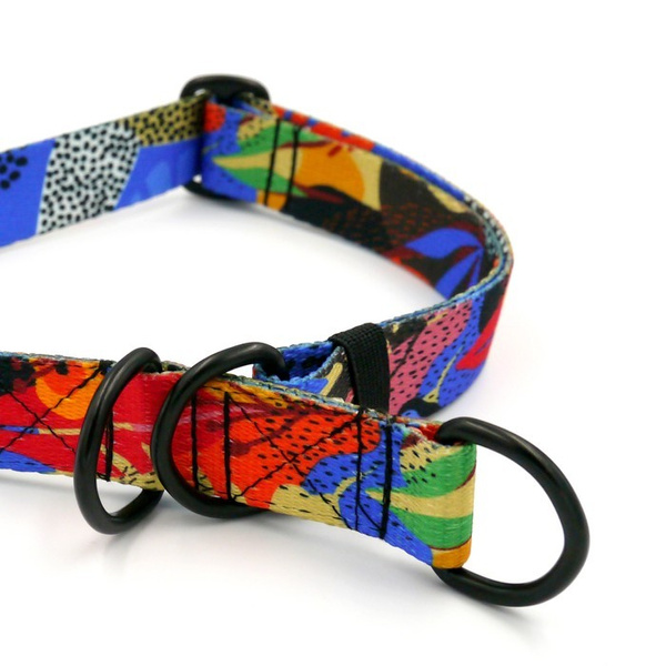Halb-Klemmhalsband Buntes Dickicht Psiakrew , 2,5 cm breit, für mittelgroße und größere Hunde, Schwarz-Beschläge, Psiakrew