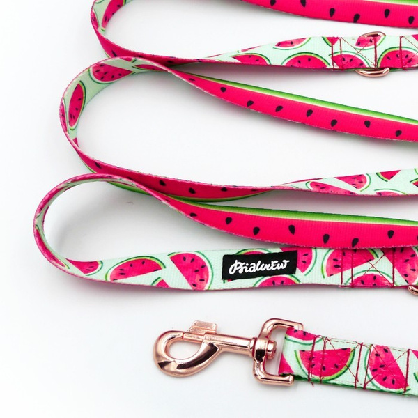 Dog Leash Watermelon width 2.5 cm, 1" wide. pink gold, big snap hook 8 cm