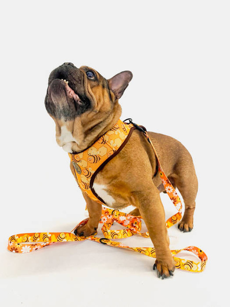 Dog Harness Busy Bees Psiakrew , Always Feeling Cool, Super Soft