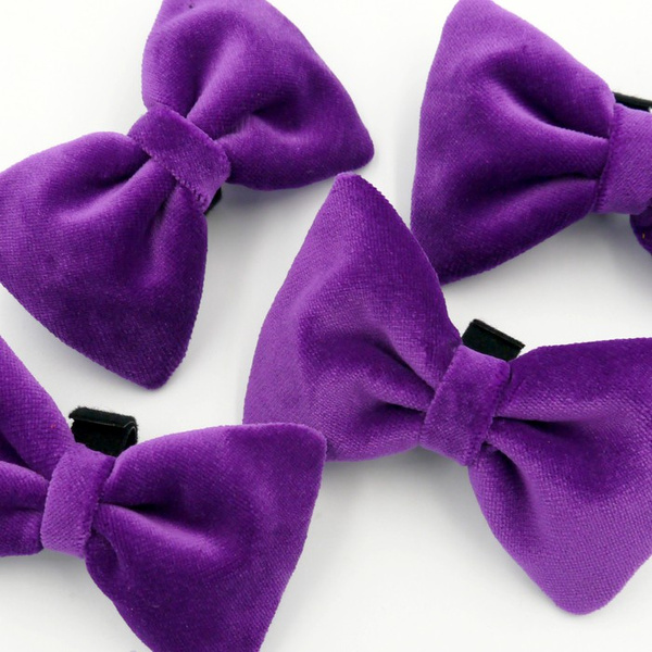 Velvet Purple bow tie for a dog an elegant ornament for special occasions, attached to the collar
