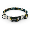 Dog Collar Psiakrew Rainy Spleen, 2 cm 0.78"  wide, for small dogs, black extras