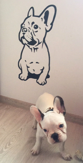 Naklejka na ścianę Pies Buldożek, dekoracja ścienna do pokoju dziecięcego dla miłośnika psów