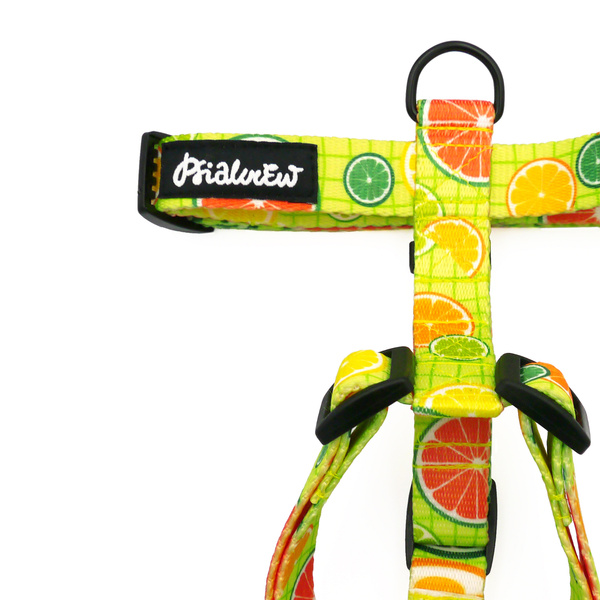 Małe Szelki dla Psa Typu Guard Lemoniada Psiakrew, taśma 2 cm, okucia czarne