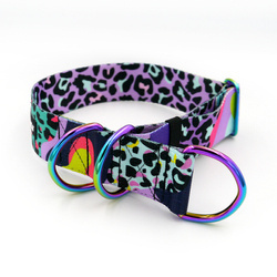 Half-choke collar Crazy Leopard 4 cm wide, medium and big dogs,  holo extras